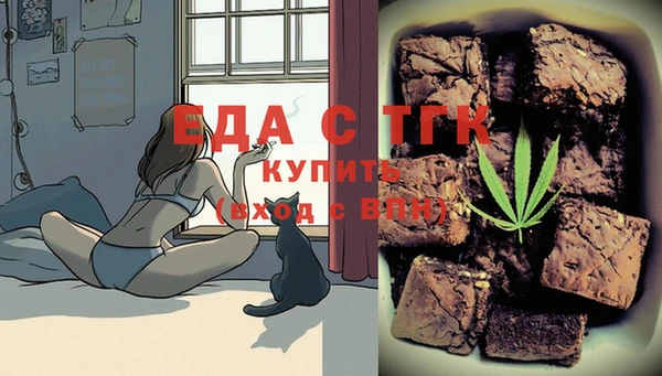 шишки Новодвинск