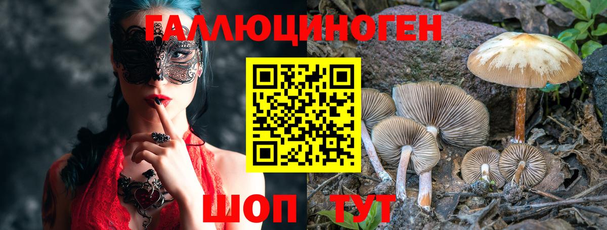Псилоцибиновые грибы Psilocybe Реутов