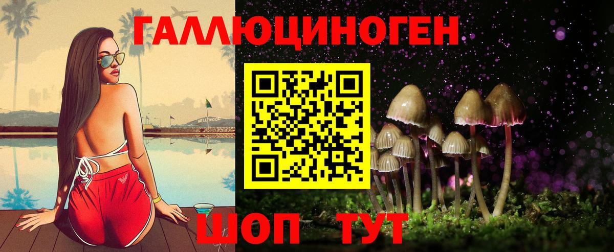 Реутов  Псилоцибиновые грибы MAGIC MUSHROOMS  Вход с VPN 