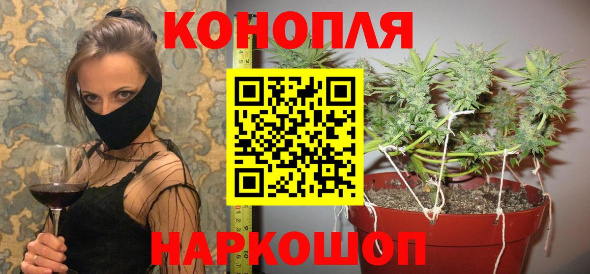 Конопля планчик  Марихуана OG Kush  Бошки марихуана White Widow  Реутов  Вход с VPN 